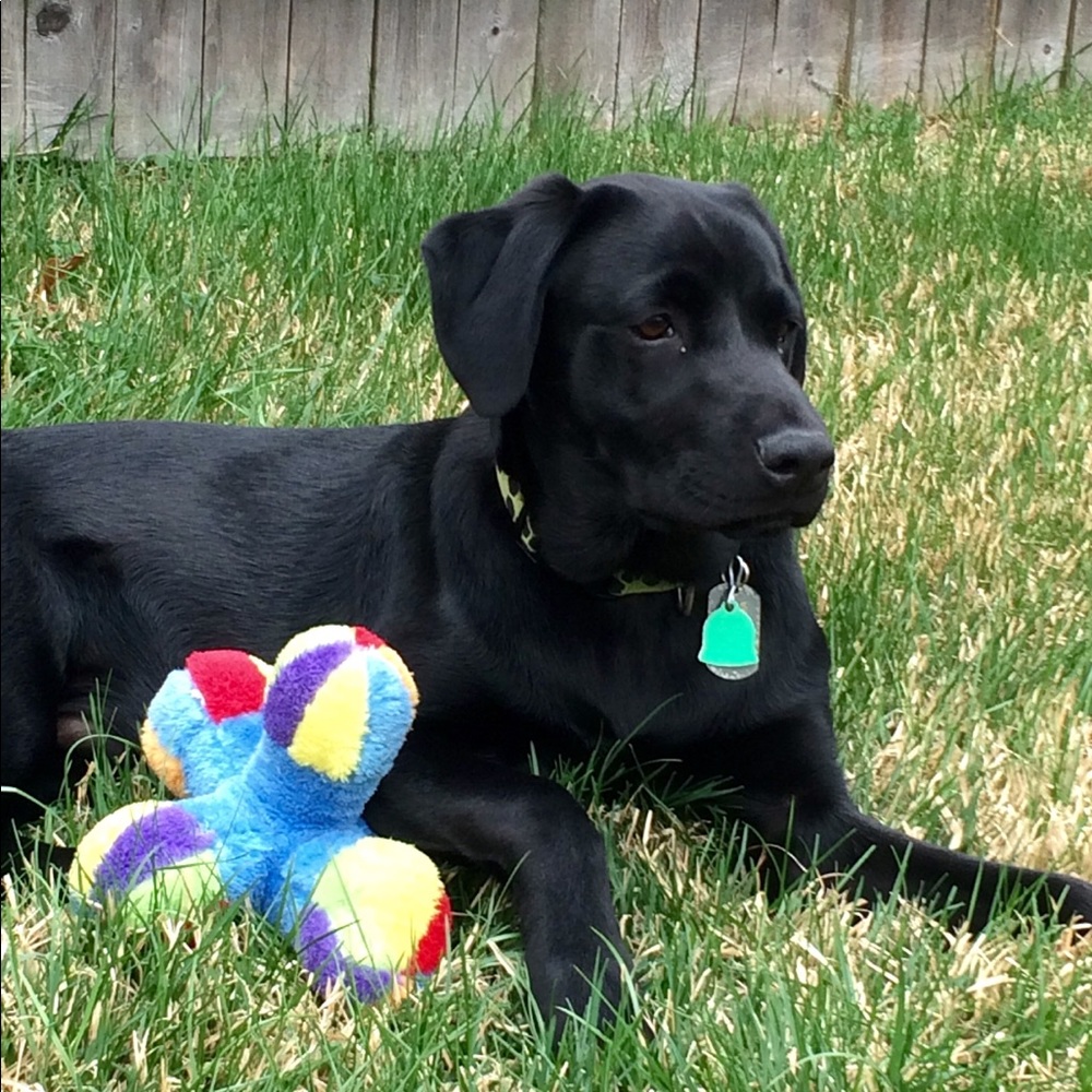 Meet your Posher, Pamela